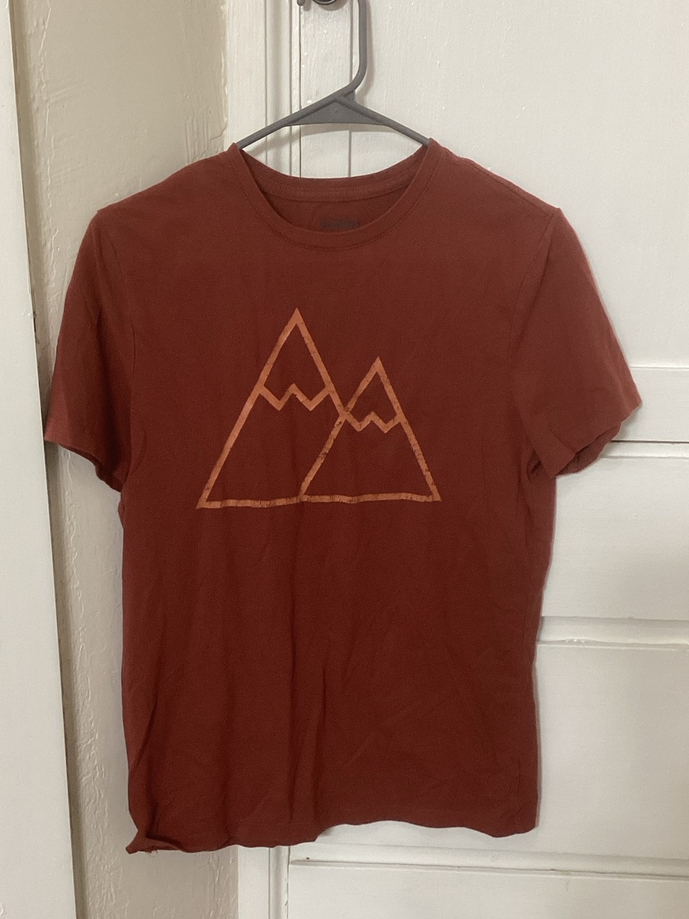 Goodfellow & Co Rust Short-Sleeve Mountain Graphic Tee
